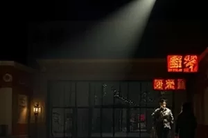 纪录片《候鸟驿站》封面，湿地水面上成群的候鸟